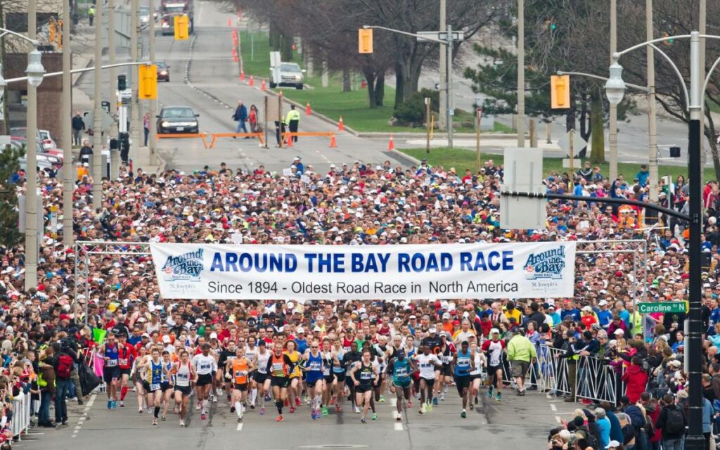 bay race